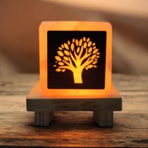 Cube Wish Tree Salt Lamps
