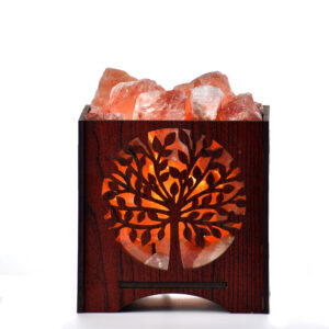 Desert Tree Basket Salt Lamps