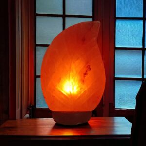 Leaf Salt Lamps