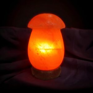 Mushroom Salt Lamps