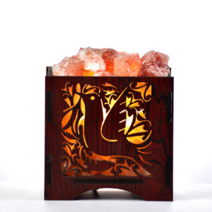 Pigeon Basket Salt Lamps