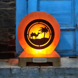 Desert Camel Crafted 3D Lamps
