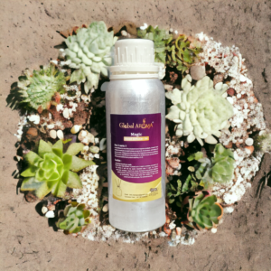 Magic Reed Diffuser Oil